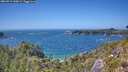 ./images/calvert/foggy-cove/20260719/foggy-cove20260719_145001M.jpg