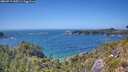./images/calvert/foggy-cove/20260719/foggy-cove20260719_145501M.jpg