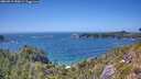 ./images/calvert/foggy-cove/20260719/foggy-cove20260719_150002M.jpg