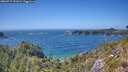 ./images/calvert/foggy-cove/20260719/foggy-cove20260719_151001M.jpg