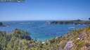 ./images/calvert/foggy-cove/20260719/foggy-cove20260719_152501M.jpg