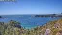 ./images/calvert/foggy-cove/20260719/foggy-cove20260719_154001M.jpg