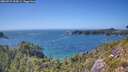 ./images/calvert/foggy-cove/20260719/foggy-cove20260719_154501M.jpg