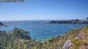 ./images/calvert/foggy-cove/20260719/foggy-cove20260719_164502M.jpg