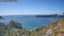 ./images/calvert/foggy-cove/20260719/foggy-cove20260719_165001M.jpg