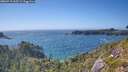 ./images/calvert/foggy-cove/20260719/foggy-cove20260719_165501M.jpg