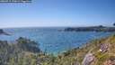 ./images/calvert/foggy-cove/20260719/foggy-cove20260719_170001M.jpg
