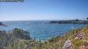 ./images/calvert/foggy-cove/20260719/foggy-cove20260719_171001M.jpg