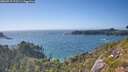 ./images/calvert/foggy-cove/20260719/foggy-cove20260719_172501M.jpg