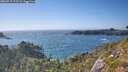 ./images/calvert/foggy-cove/20260719/foggy-cove20260719_173501M.jpg