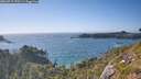 ./images/calvert/foggy-cove/20260719/foggy-cove20260719_175501M.jpg