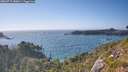 ./images/calvert/foggy-cove/20260719/foggy-cove20260719_180001M.jpg