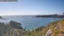 ./images/calvert/foggy-cove/20260719/foggy-cove20260719_180501M.jpg