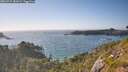 ./images/calvert/foggy-cove/20260719/foggy-cove20260719_182001M.jpg