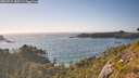 ./images/calvert/foggy-cove/20260719/foggy-cove20260719_183501M.jpg