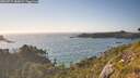./images/calvert/foggy-cove/20260719/foggy-cove20260719_185001M.jpg