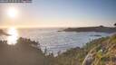 ./images/calvert/foggy-cove/20260719/foggy-cove20260719_203501M.jpg