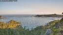 ./images/calvert/foggy-cove/20260720/foggy-cove20260720_064501M.jpg