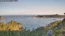 ./images/calvert/foggy-cove/20260720/foggy-cove20260720_070501M.jpg