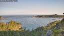 ./images/calvert/foggy-cove/20260720/foggy-cove20260720_071001M.jpg