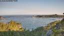 ./images/calvert/foggy-cove/20260720/foggy-cove20260720_071501M.jpg