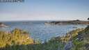 ./images/calvert/foggy-cove/20260720/foggy-cove20260720_074002M.jpg