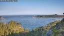 ./images/calvert/foggy-cove/20260720/foggy-cove20260720_075502M.jpg