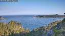 ./images/calvert/foggy-cove/20260720/foggy-cove20260720_080001M.jpg