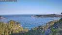 ./images/calvert/foggy-cove/20260720/foggy-cove20260720_080501M.jpg