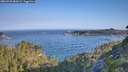 ./images/calvert/foggy-cove/20260720/foggy-cove20260720_081001M.jpg