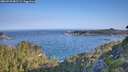 ./images/calvert/foggy-cove/20260720/foggy-cove20260720_081501M.jpg