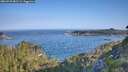 ./images/calvert/foggy-cove/20260720/foggy-cove20260720_082501M.jpg