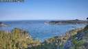 ./images/calvert/foggy-cove/20260720/foggy-cove20260720_083001M.jpg