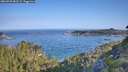 ./images/calvert/foggy-cove/20260720/foggy-cove20260720_083502M.jpg