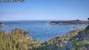 ./images/calvert/foggy-cove/20260720/foggy-cove20260720_084001M.jpg