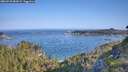 ./images/calvert/foggy-cove/20260720/foggy-cove20260720_084502M.jpg