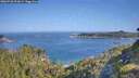 ./images/calvert/foggy-cove/20260720/foggy-cove20260720_091002M.jpg