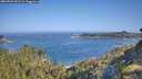 ./images/calvert/foggy-cove/20260720/foggy-cove20260720_091501M.jpg