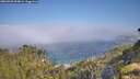 ./images/calvert/foggy-cove/20260720/foggy-cove20260720_094001M.jpg