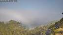 ./images/calvert/foggy-cove/20260720/foggy-cove20260720_094501M.jpg