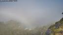 ./images/calvert/foggy-cove/20260720/foggy-cove20260720_095001M.jpg