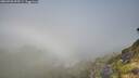 ./images/calvert/foggy-cove/20260720/foggy-cove20260720_095501M.jpg