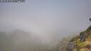 ./images/calvert/foggy-cove/20260720/foggy-cove20260720_100501M.jpg