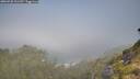 ./images/calvert/foggy-cove/20260720/foggy-cove20260720_101501M.jpg