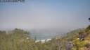 ./images/calvert/foggy-cove/20260720/foggy-cove20260720_103501M.jpg