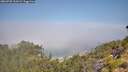 ./images/calvert/foggy-cove/20260720/foggy-cove20260720_110501M.jpg