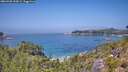 ./images/calvert/foggy-cove/20260720/foggy-cove20260720_125002M.jpg