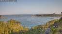 ./images/calvert/foggy-cove/20260721/foggy-cove20260721_080501M.jpg