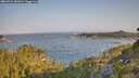 ./images/calvert/foggy-cove/20260721/foggy-cove20260721_081001M.jpg