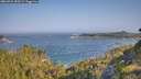 ./images/calvert/foggy-cove/20260721/foggy-cove20260721_090501M.jpg